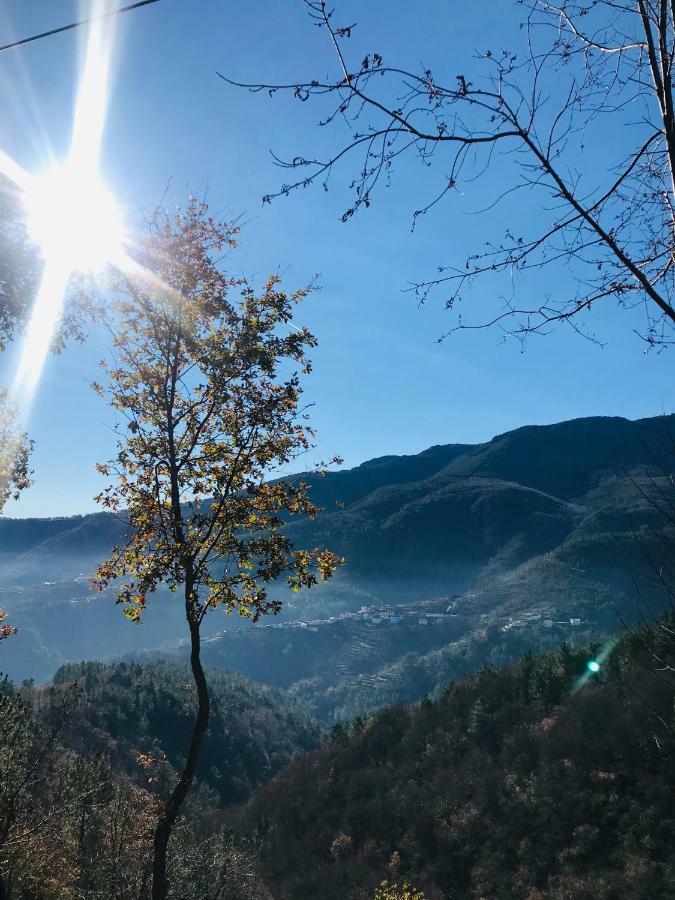 "Casa Do Avo Patricio" Mountain Experience Villa Parada  Dış mekan fotoğraf