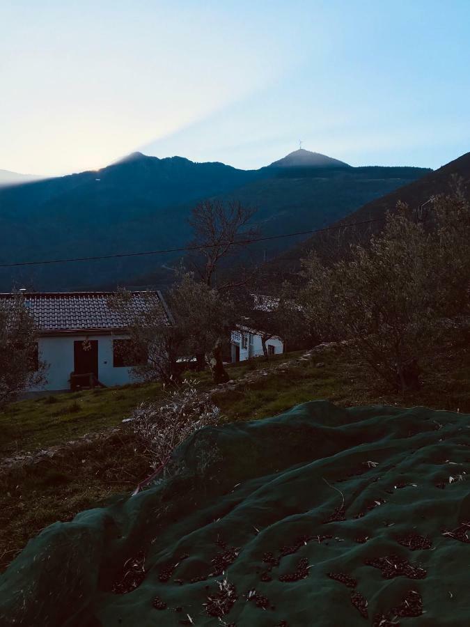 "Casa Do Avo Patricio" Mountain Experience Villa Parada  Dış mekan fotoğraf